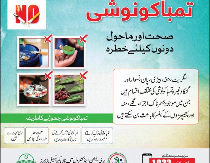 Helping Smokers Quit: Punjab’s Tobacco Cessation Support Services